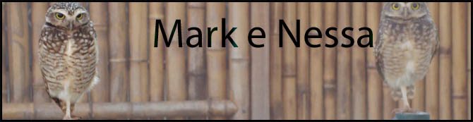 Mark e Nessa