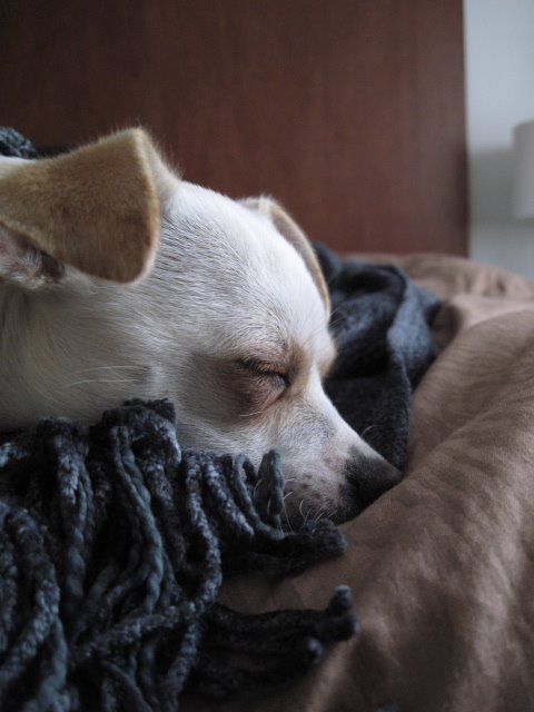[IMG_0277.JPG]