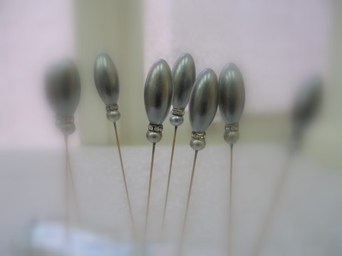 [P1010274.JPG]
