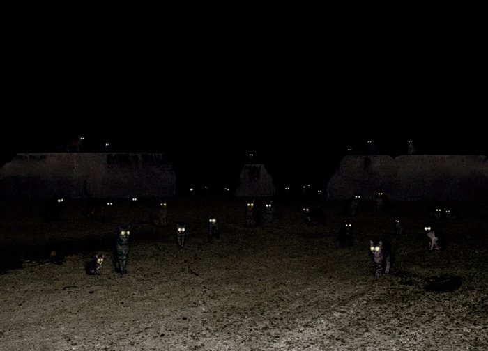 [andrea_galvani2.jpg]