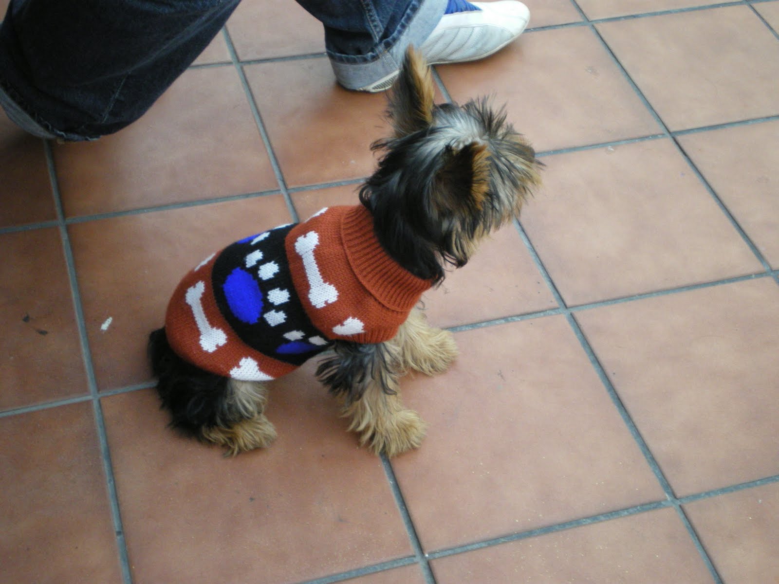 septiembre 2010 | El jardín de Maca