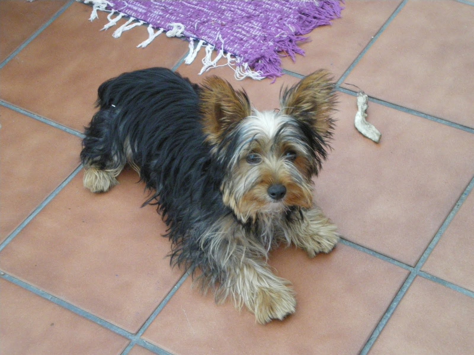 septiembre 2010 | El jardín de Maca