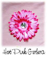 Hot Pink Gerbera