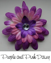 3" Purple and Pink Daisy