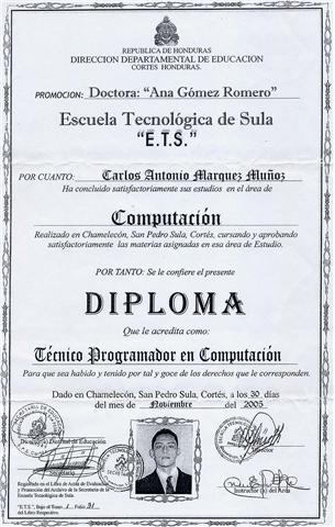 Diploma como Tecnico Programador en Computacion