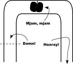 [monkey-experiment.png]