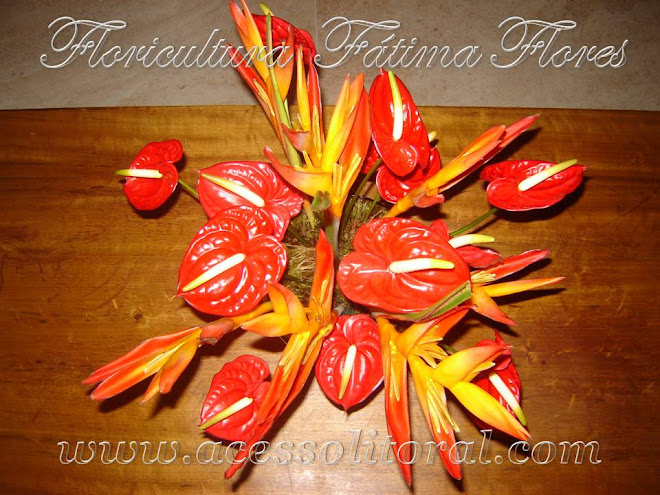 Floricultura Fatima Flores 15