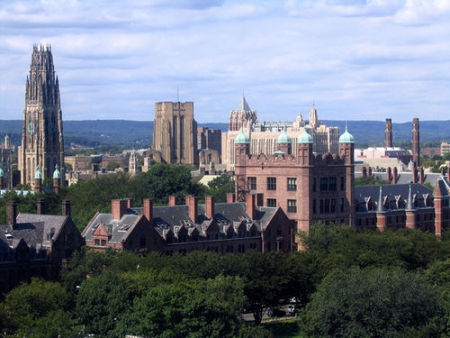 Picture Of Yale