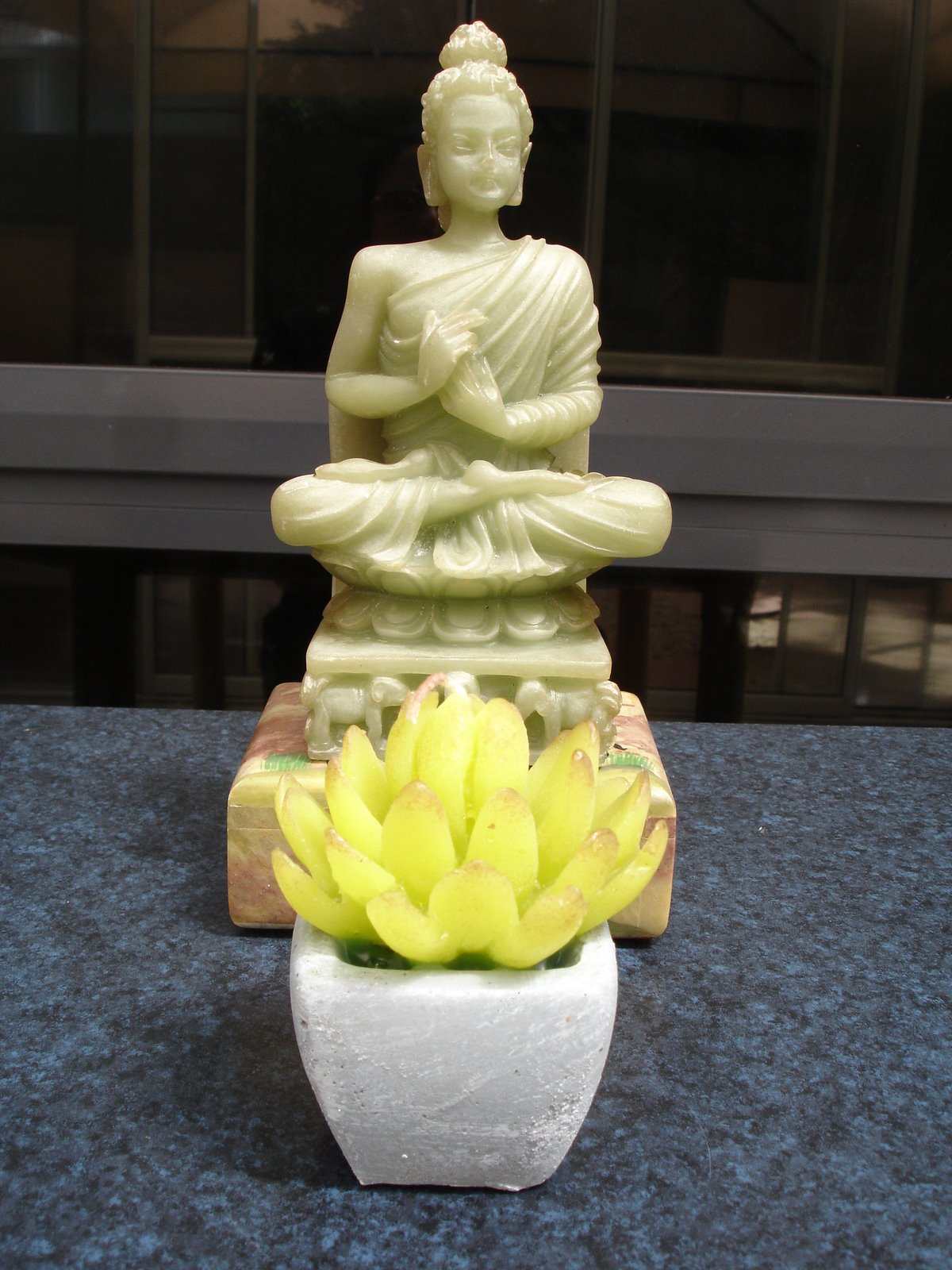 [DSC05417.JPG]