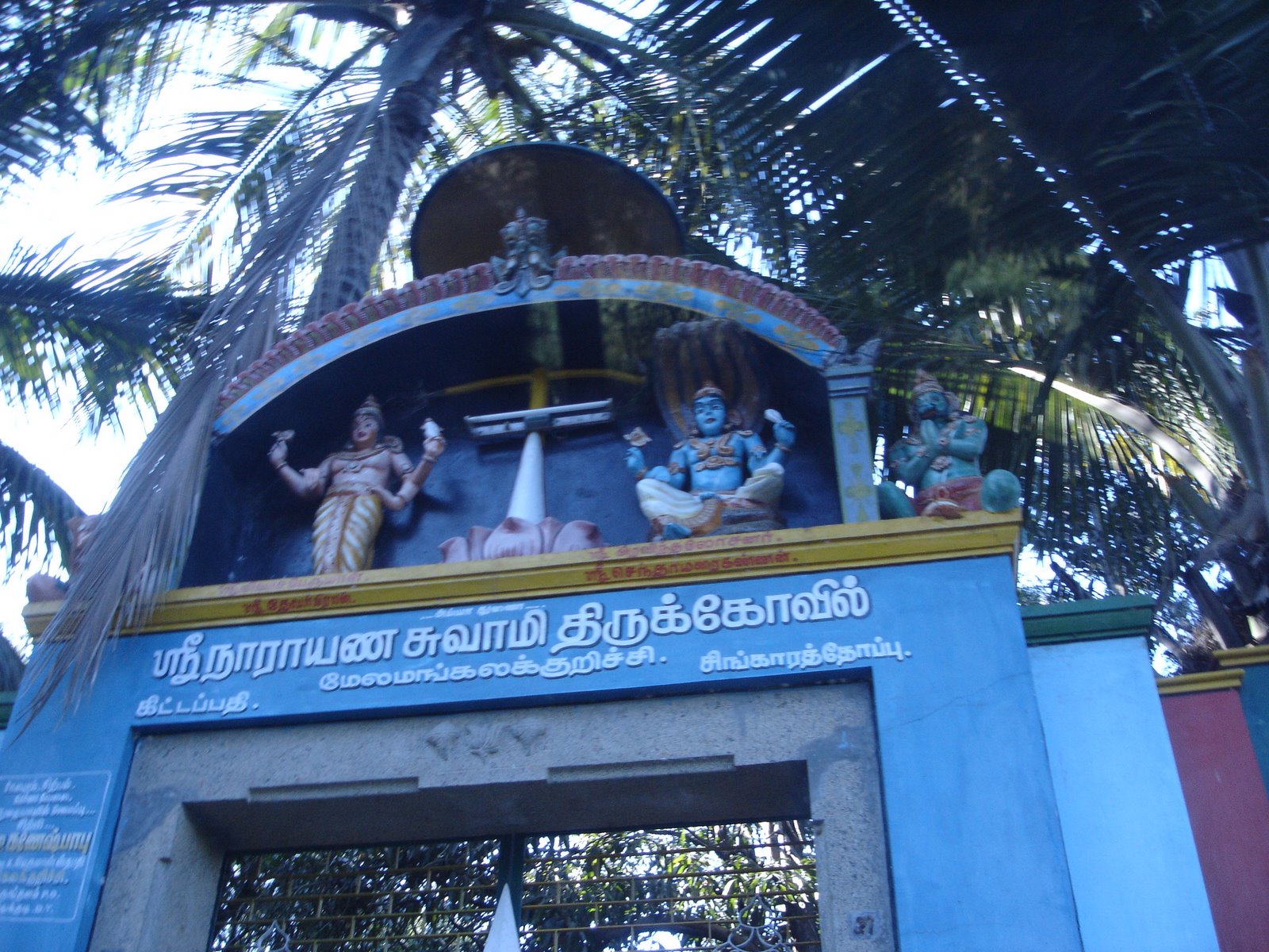 [DSC06931.JPG]