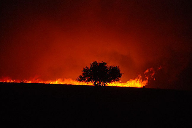 [fire+13.jpg]