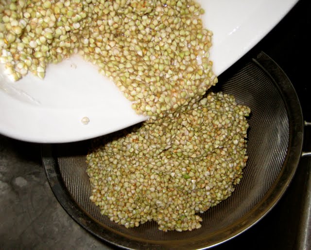 Sprouting Buckwheat Groats The Fitness Freak