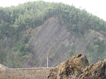 Los patos ¿ o los humanos ?