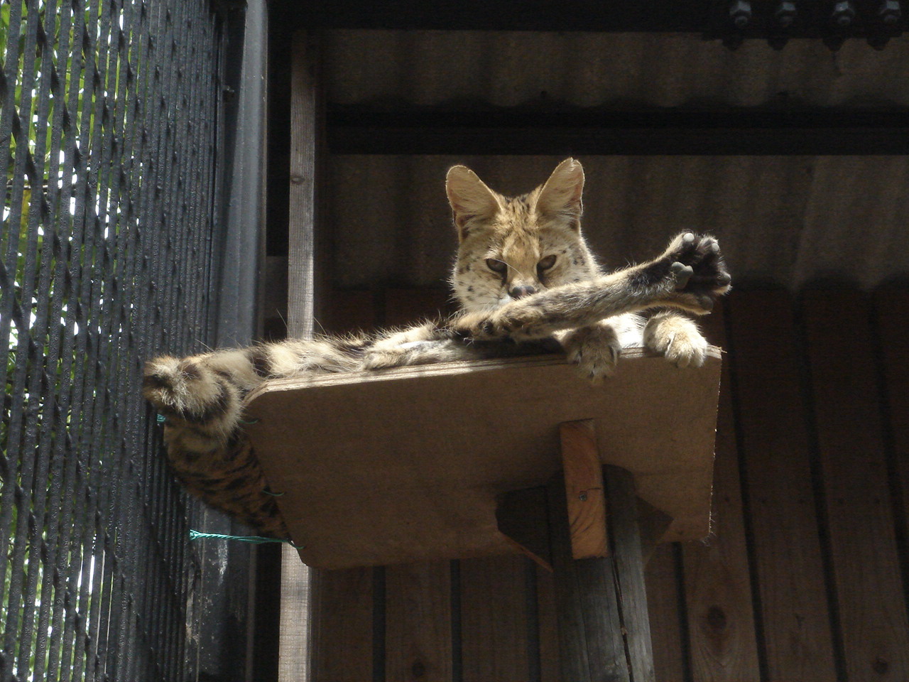 [DSC09174.JPG]