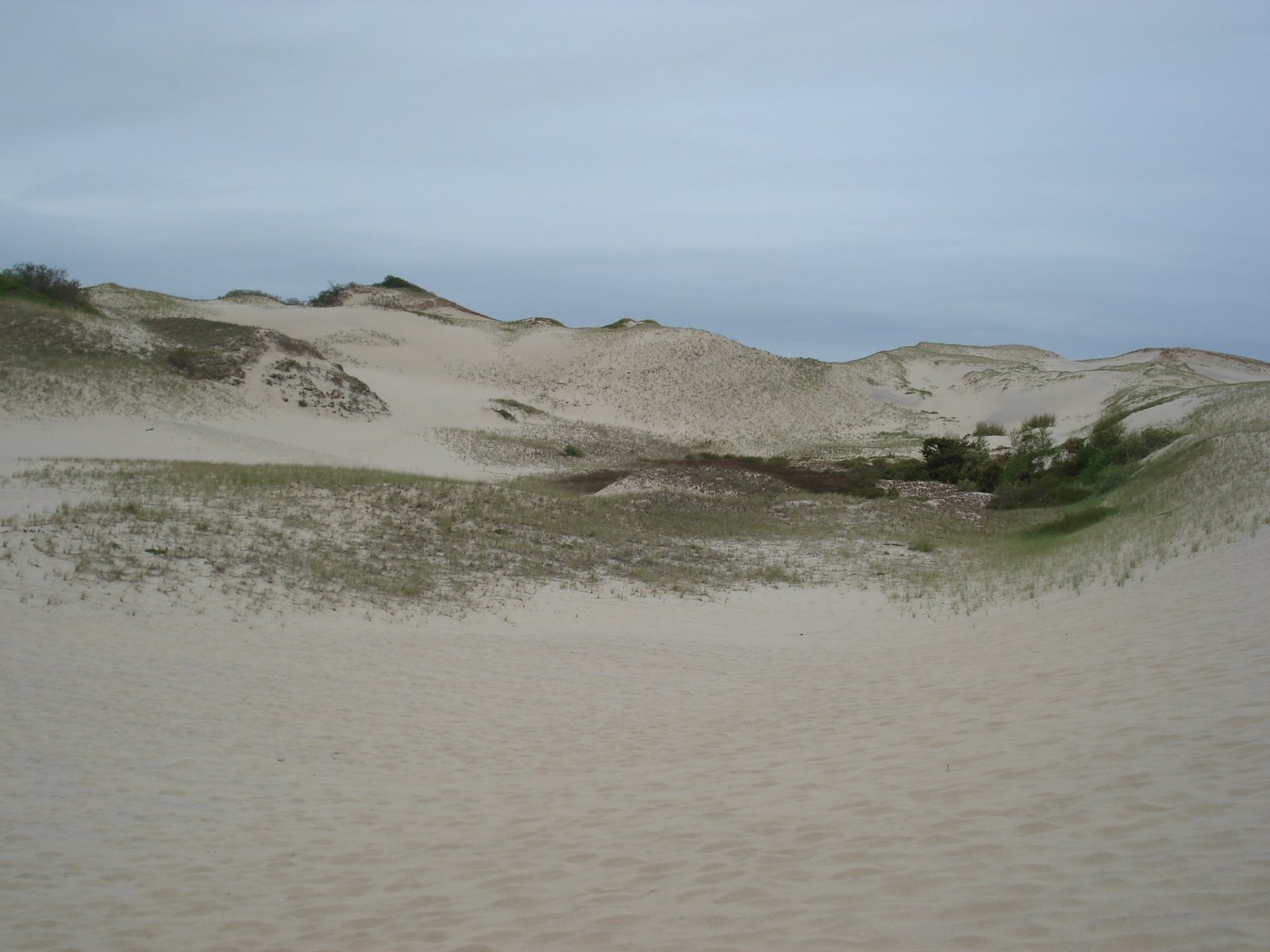 [DSC01086.JPG]