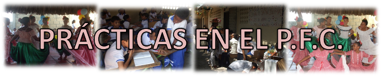 PRÁCTICA DEL PROGRAMA DE FORMACIÓN COMPLEMENTARIO
