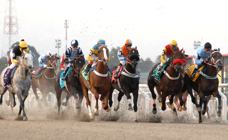 TURF MAROÑAS 6 DE ENERO GRAN PREMIO JOSÉ PEDRO RAMIREZ