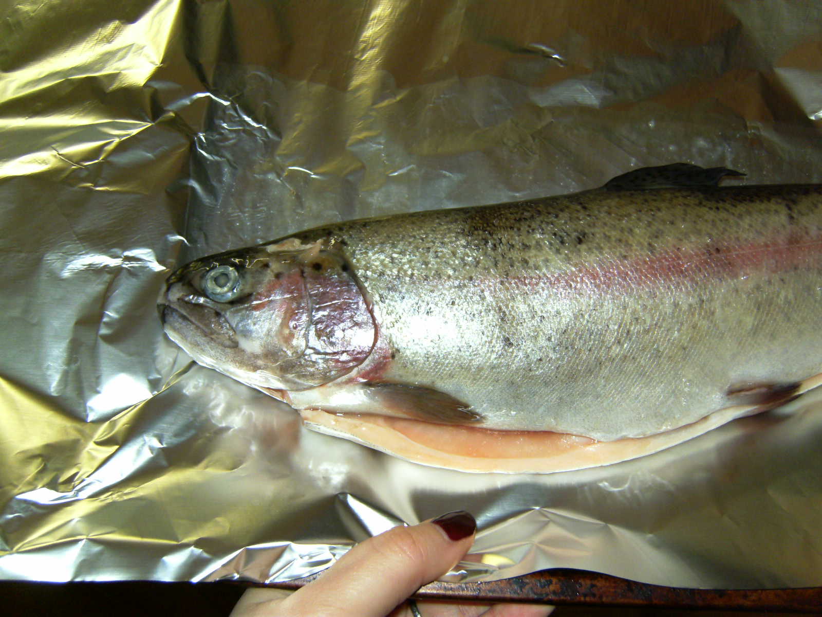 White Wine in the City Chinese style Rainbow Trout