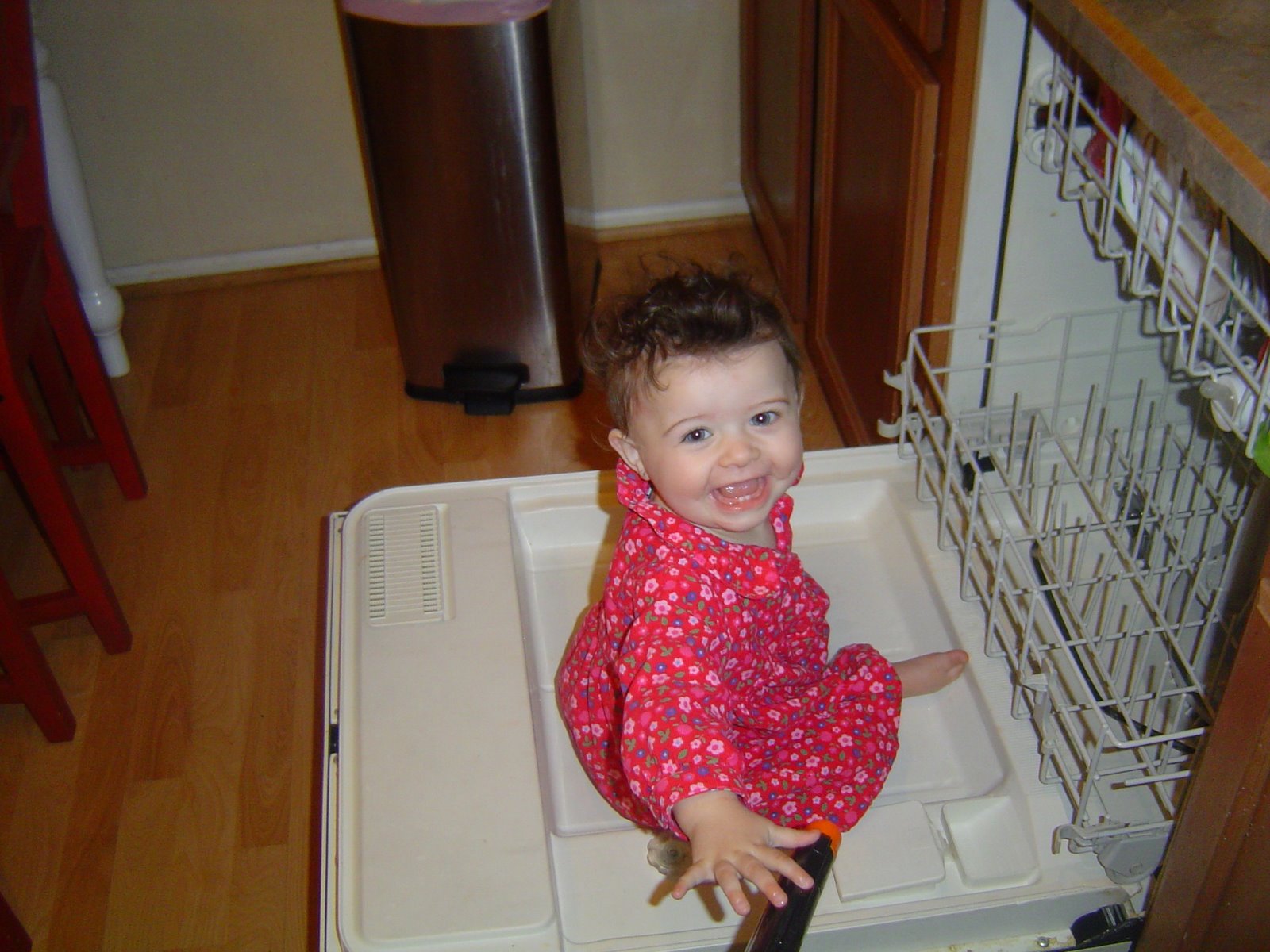 [dishwasher.JPG]