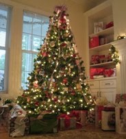 [Tree+Blog.JPG]