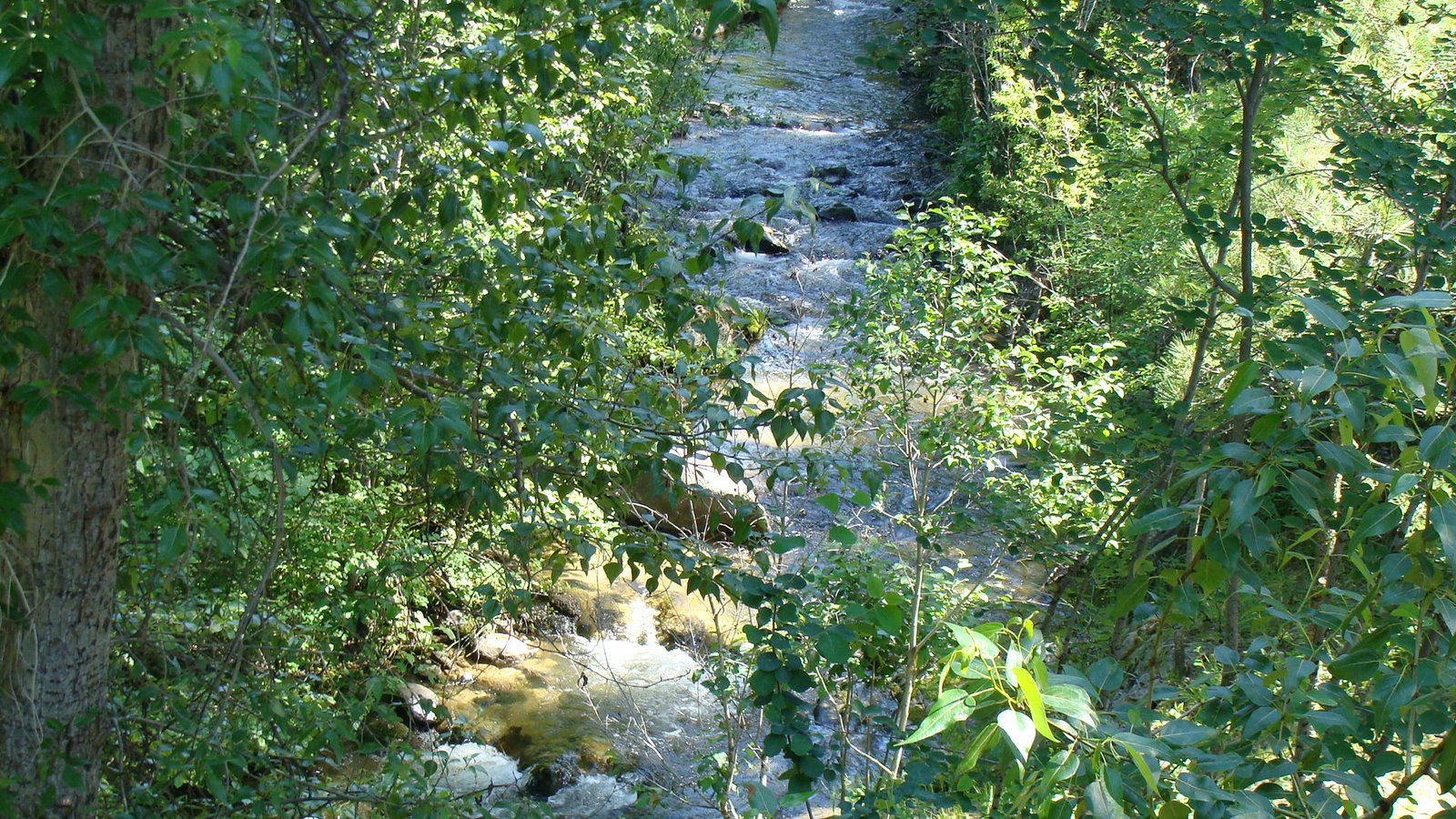 [master+bed+view.JPG]