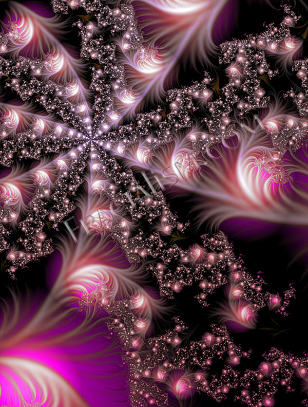 [Jay_Jacobson_fractal_feather_star.jpg]