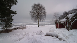 KROKÅS OCH HAVET,NEDANFÖR MINA FÖRÄLDRARAS HUS.