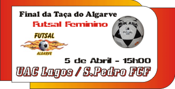 [final-taca-ff[1].gif]