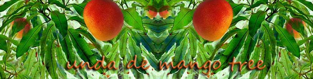 unda de mango tree