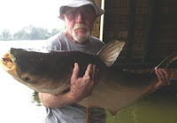 Live Swai Fish