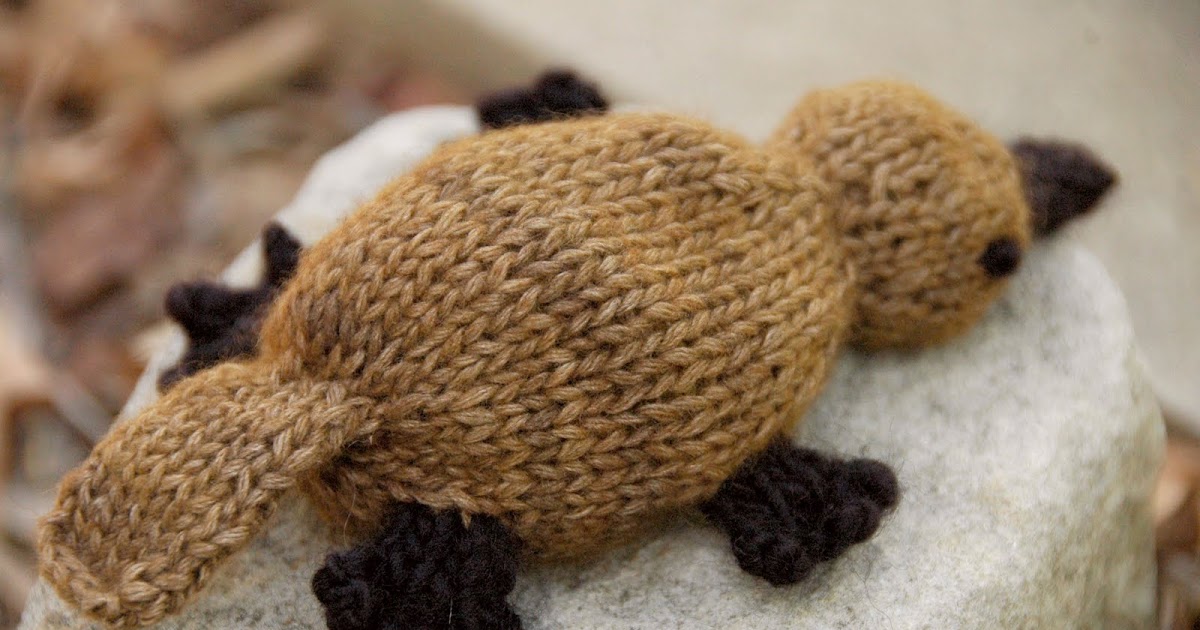 Kara Hobbs Portfolio: A Platypus