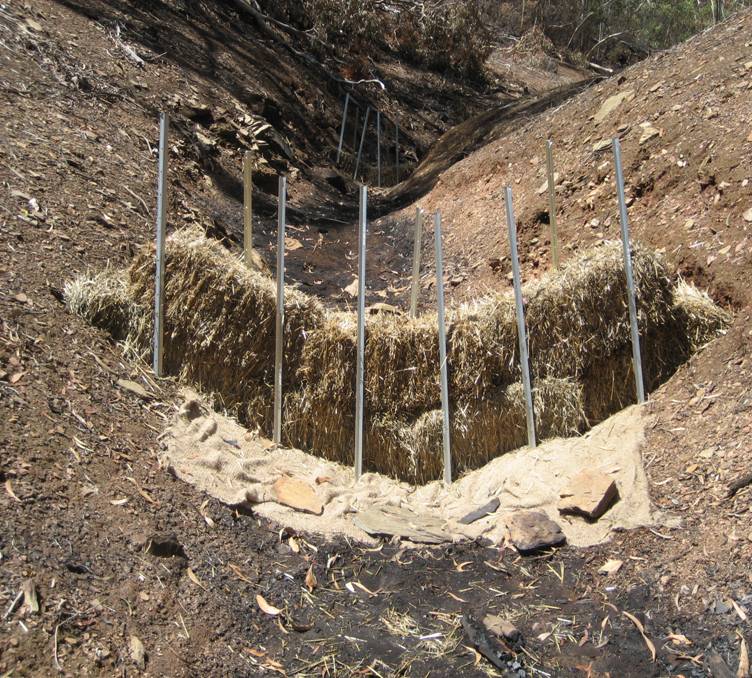 PhD Journey fire, kids, erosion October 2010