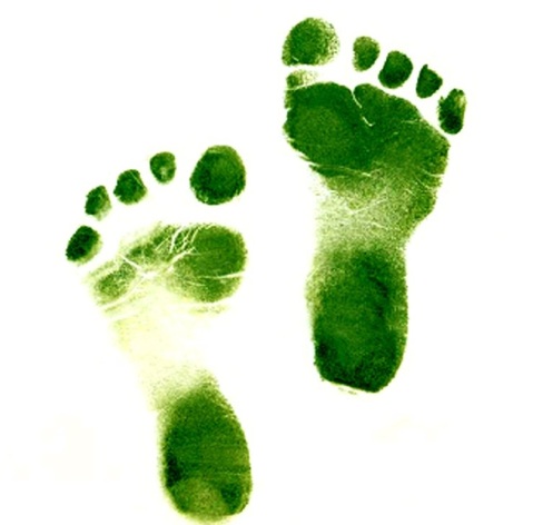 [footprint.jpg]