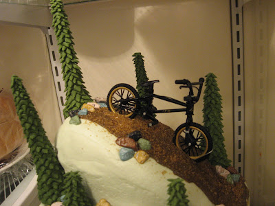 Sweetest Endeavors: Mountain Bike Cake
