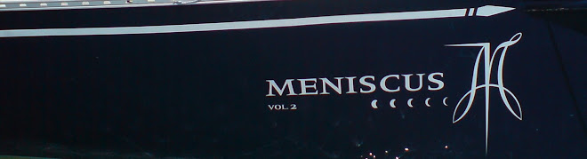 Mensicus hajónapló