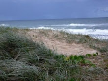 Peregian Beach