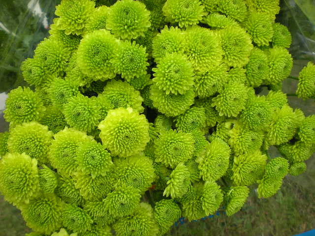[DSCN0650.JPG]