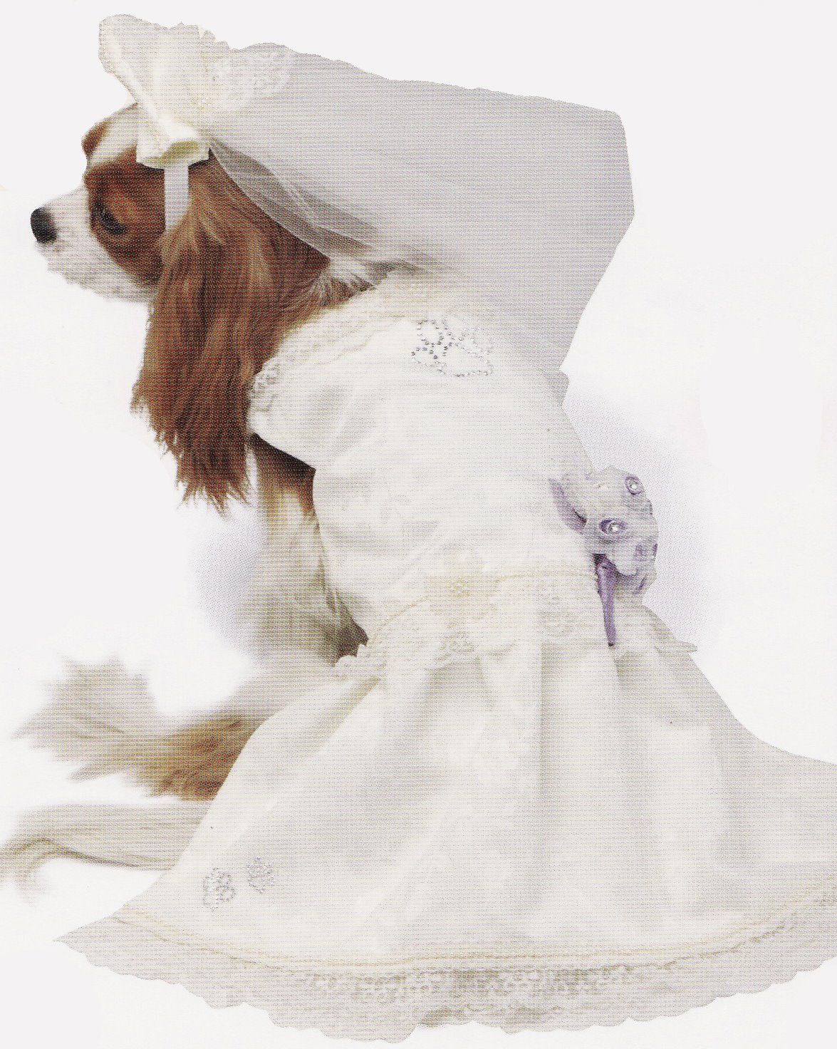 [bww+bride.jpg]