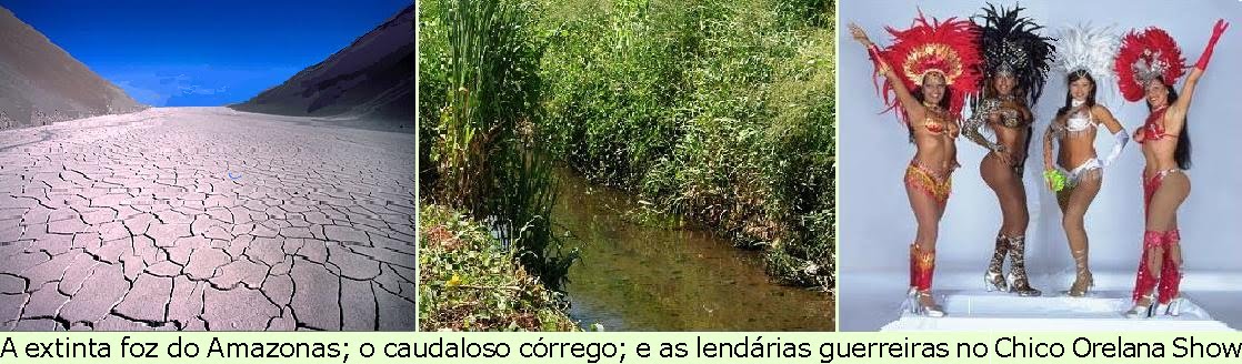 [Amazonas_3+fotos.bmp]