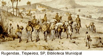 [Emboabas.bmp]