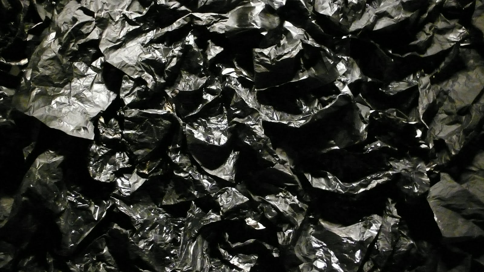 [L1230202.JPG]