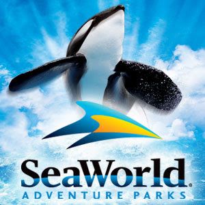 I Love Military Discounts Com 1 Free Day At Sea World Or Busch