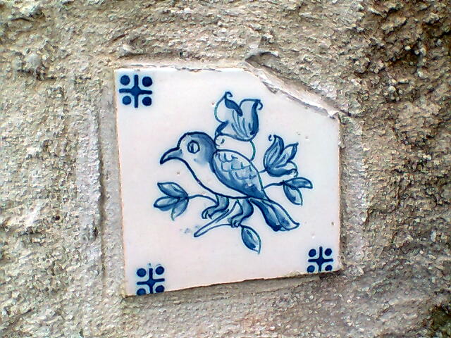 [Img009.jpg]
