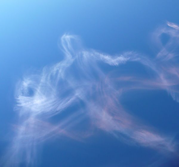 [shuttlecloud+2007.jpg]