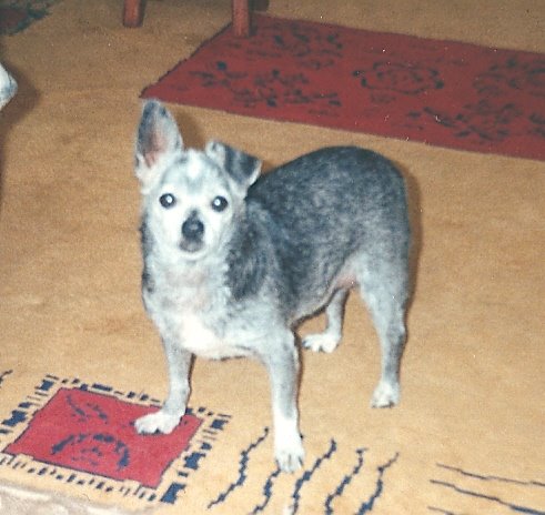 [Digitalizar0002.jpg]