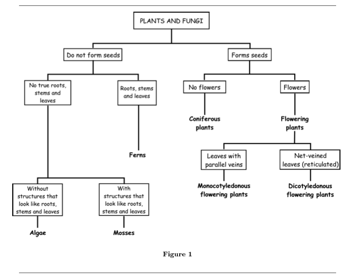 Classification Of Matter Chart