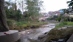 brantas river
