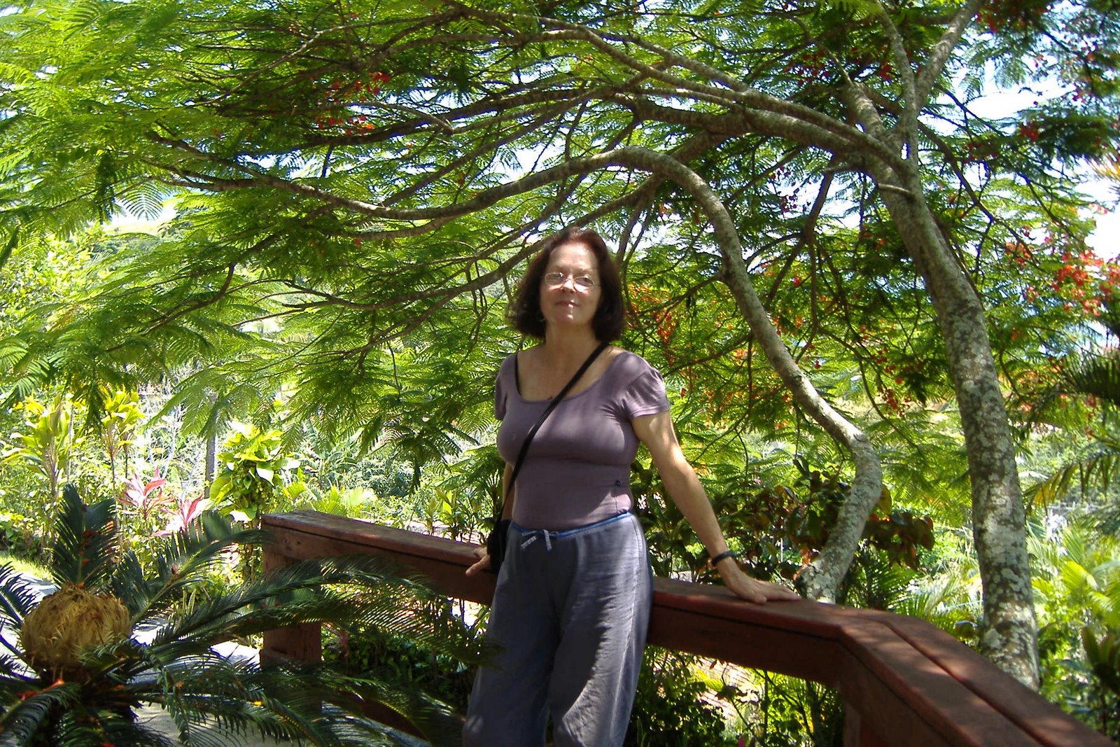 [janeiro2006+019.jpg]