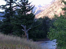 A Mountain Stream at Sunrise in South Central Montana