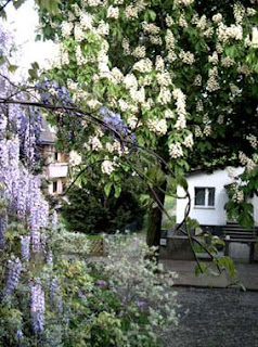 Juttas Schreibblog April 2009